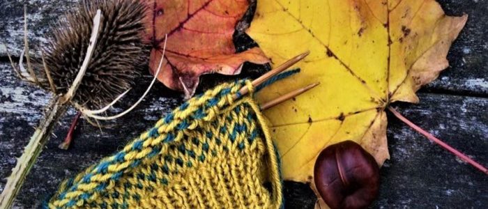 picture of knitting and leaves