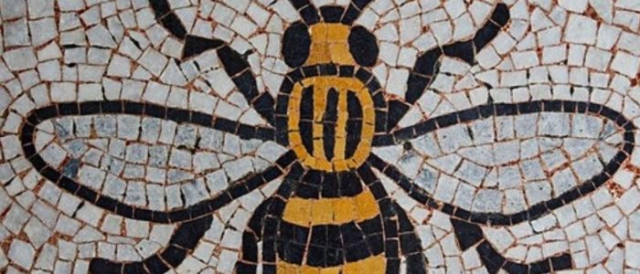 picture of a mosaic wasp